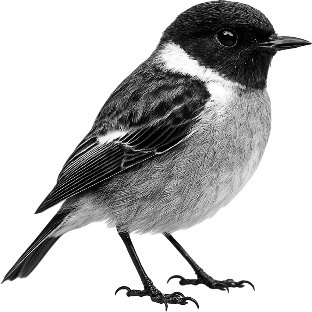 {{animal.commonName}}