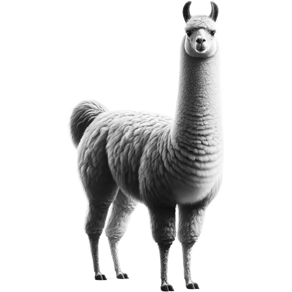 Llama