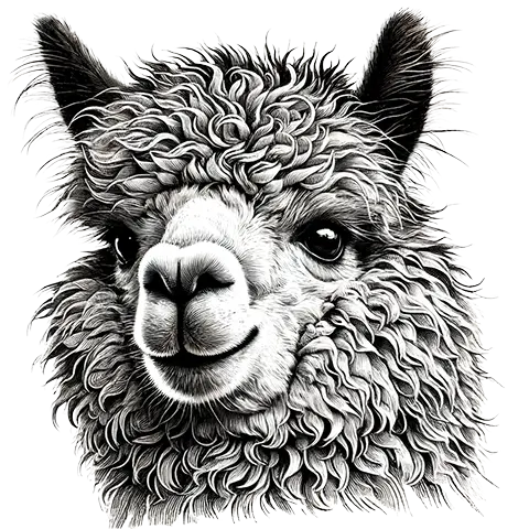 Alpaca